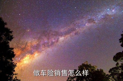 做車險(xiǎn)銷售怎么樣
