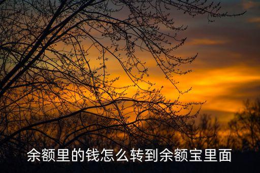 余額轉(zhuǎn)到余額寶怎么轉(zhuǎn)，余額轉(zhuǎn)到余額寶怎么轉(zhuǎn)