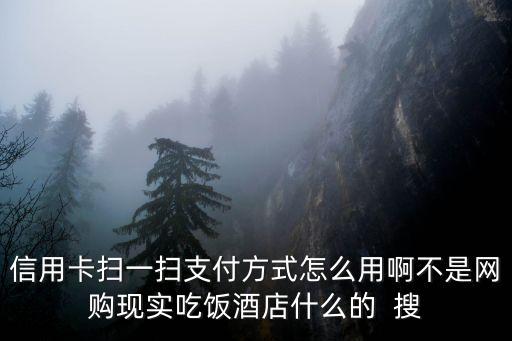 信用卡怎么掃一掃付款嗎，信用卡掃一掃支付方式怎么用啊不是網(wǎng)購(gòu)現(xiàn)實(shí)吃飯酒店什么的  搜