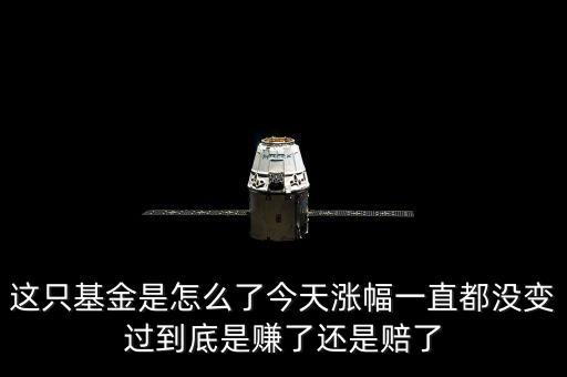 這只基金是怎么了今天漲幅一直都沒變過到底是賺了還是賠了