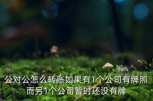 公對公怎么轉(zhuǎn)賬如果有1個公司有牌照而另1個公司暫時還沒有牌