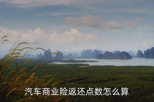 汽車商業(yè)險(xiǎn)返還點(diǎn)數(shù)怎么算