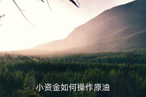 小資金怎么炒原油，小資金怎么做原油小資金炒原油有什么建議