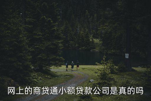 商貸 有貸款公司怎么樣，網上的商貸通小額貸款公司是真的嗎