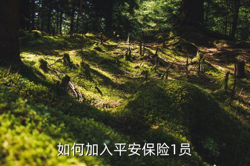 如何加入平安保險(xiǎn)1員