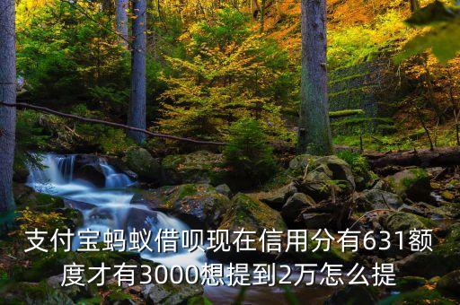 支付寶螞蟻借唄現(xiàn)在信用分有631額度才有3000想提到2萬怎么提