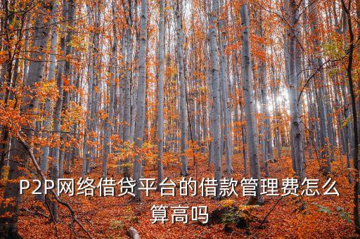 P2P網(wǎng)絡(luò)借貸平臺(tái)的借款管理費(fèi)怎么算高嗎
