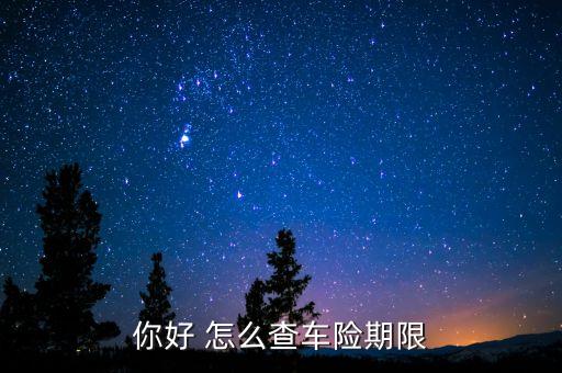 你好 怎么查車險期限