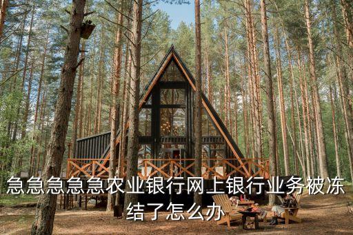 急急急急急農(nóng)業(yè)銀行網(wǎng)上銀行業(yè)務(wù)被凍結(jié)了怎么辦