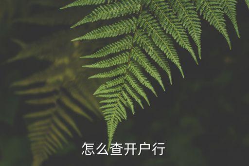 怎么查開戶行