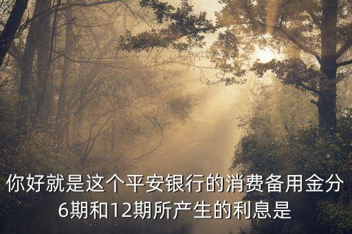 你好就是這個(gè)平安銀行的消費(fèi)備用金分6期和12期所產(chǎn)生的利息是