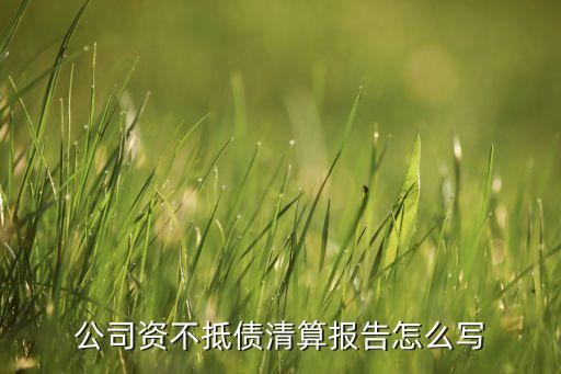 清算議案怎么寫，公司資不抵債清算報(bào)告怎么寫
