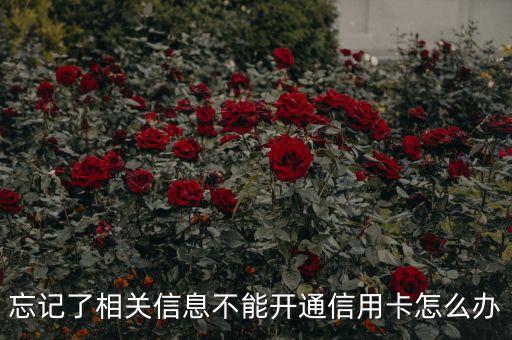 忘記了相關(guān)信息不能開通信用卡怎么辦