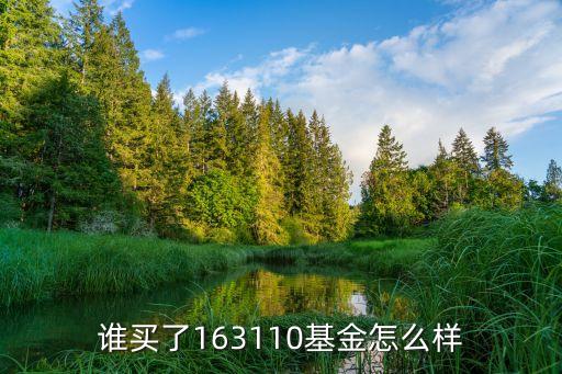 誰買了163110基金怎么樣