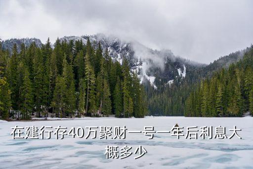 在建行存40萬聚財一號一年后利息大概多少