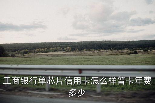 工商銀行單芯片信用卡怎么樣普卡年費(fèi)多少