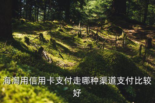 海淘怎么用信用卡付款，visa農(nóng)行信用卡怎么使用海淘大神指點