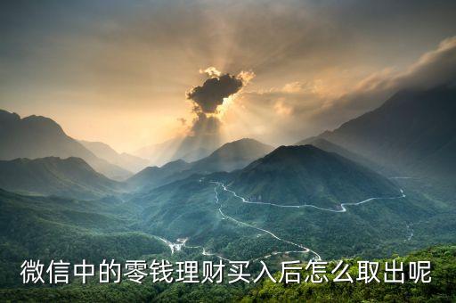 微信中的零錢理財買入后怎么取出呢