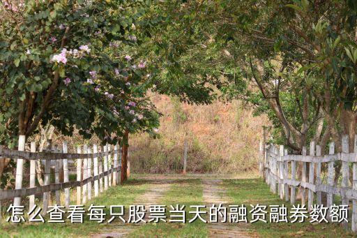 融資買入額怎么查，怎么查看每只股票當(dāng)天的融資融券數(shù)額