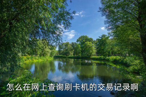 怎么在網(wǎng)上查詢刷卡機(jī)的交易記錄啊