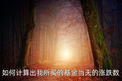 基金怎么計(jì)算漲跌金額，如何計(jì)算出我所買的基金當(dāng)天的漲跌數(shù)