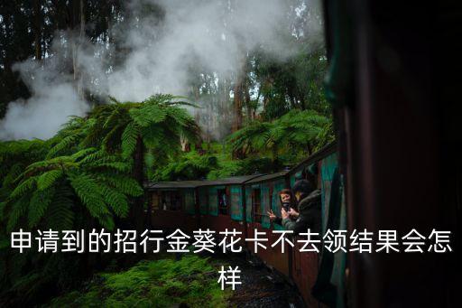申請到的招行金葵花卡不去領結果會怎樣