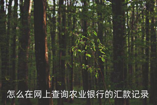 怎么在網上查詢農業(yè)銀行的匯款記錄