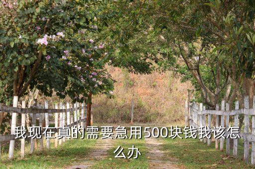 我現(xiàn)在真的需要急用500塊錢我該怎么辦