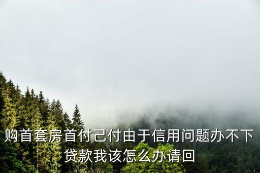 購首套房首付己付由于信用問題辦不下貸款我該怎么辦請回