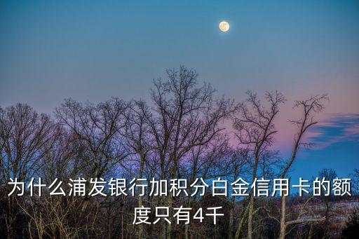 白金信用卡怎么才幾千，農(nóng)業(yè)銀行悠然白金卡怎么才五千