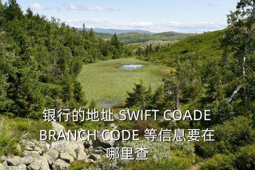 銀行網(wǎng)點(diǎn)代碼怎么查詢系統(tǒng)，銀行的地址 SWIFT COADEBRANCH CODE 等信息要在哪里查