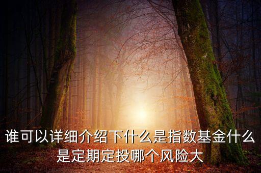 怎么標(biāo)指數(shù)基金，如何定投標(biāo)準(zhǔn)普爾500指數(shù)基金