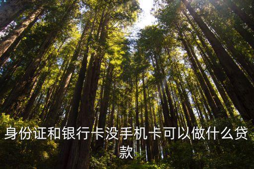 身份證和銀行卡沒手機(jī)卡可以做什么貸款