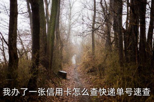 我辦了一張信用卡怎么查快遞單號(hào)速查