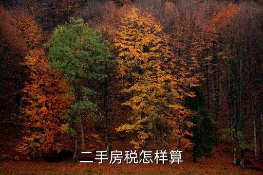二手房稅怎樣算