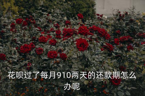 花唄過(guò)了每月910兩天的還款期怎么辦呢