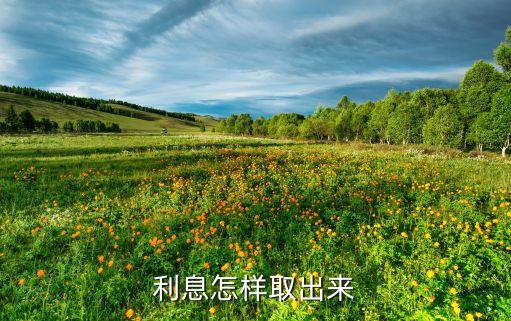利息怎樣取出來