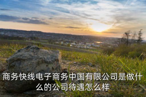 匯元科技金融服務(wù)有限公司怎么樣，匯元科技是什么