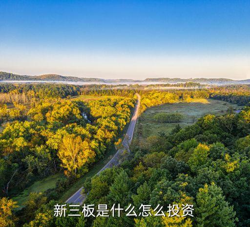 新三板股票怎么投資，新三板股票怎么買(mǎi)