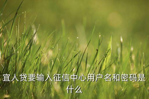 宜人貸要輸入征信中心用戶名和密碼是什么