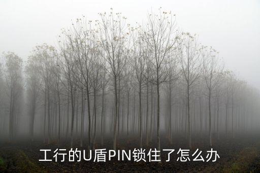 工行的U盾PIN鎖住了怎么辦
