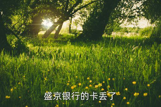 盛京銀行的卡丟了