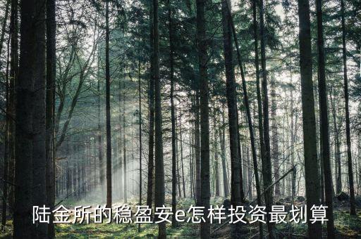 穩(wěn)盈安e十怎么買，陸金所的穩(wěn)盈安e怎樣投資最劃算