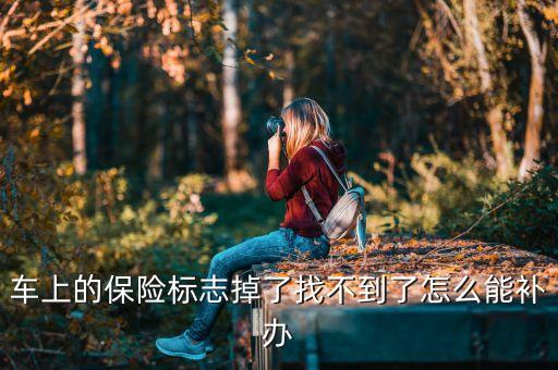 保險車輛標(biāo)志丟了怎么辦理，車輛保險標(biāo)志丟失咋辦