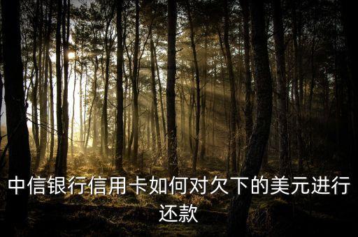 中信信用卡外幣怎么還，中信銀行信用卡如何對(duì)欠下的美元進(jìn)行還款