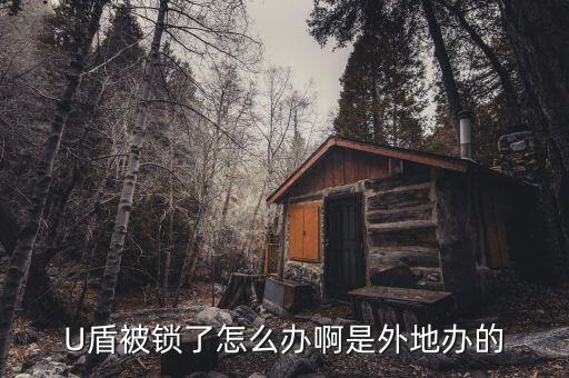企業(yè)銀行u盾鎖了怎么辦理，U盾密碼被鎖定了怎么辦只能去柜臺辦理嗎好麻煩拉請高人指教