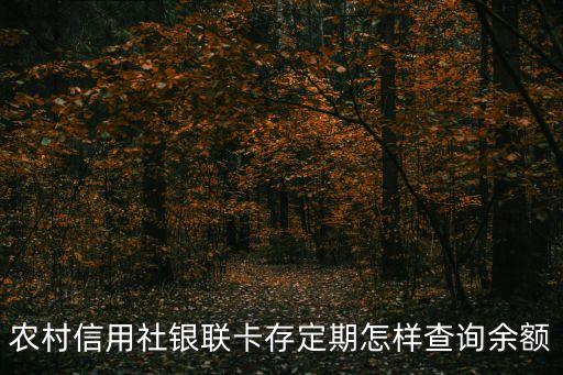 信用社定期怎么查余額，農(nóng)村信用社銀聯(lián)卡存定期怎樣查詢(xún)余額