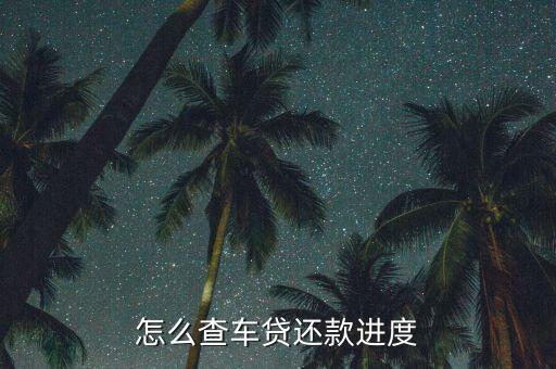 怎么查車貸還款進(jìn)度