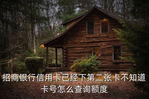 招商銀行信用卡已經(jīng)下第二張卡不知道卡號(hào)怎么查詢額度