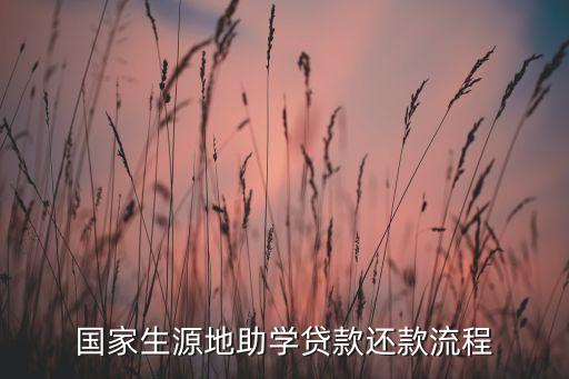 國家生源地助學(xué)貸款還款流程